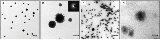 一种用于防治龋病的仿生再矿化材料